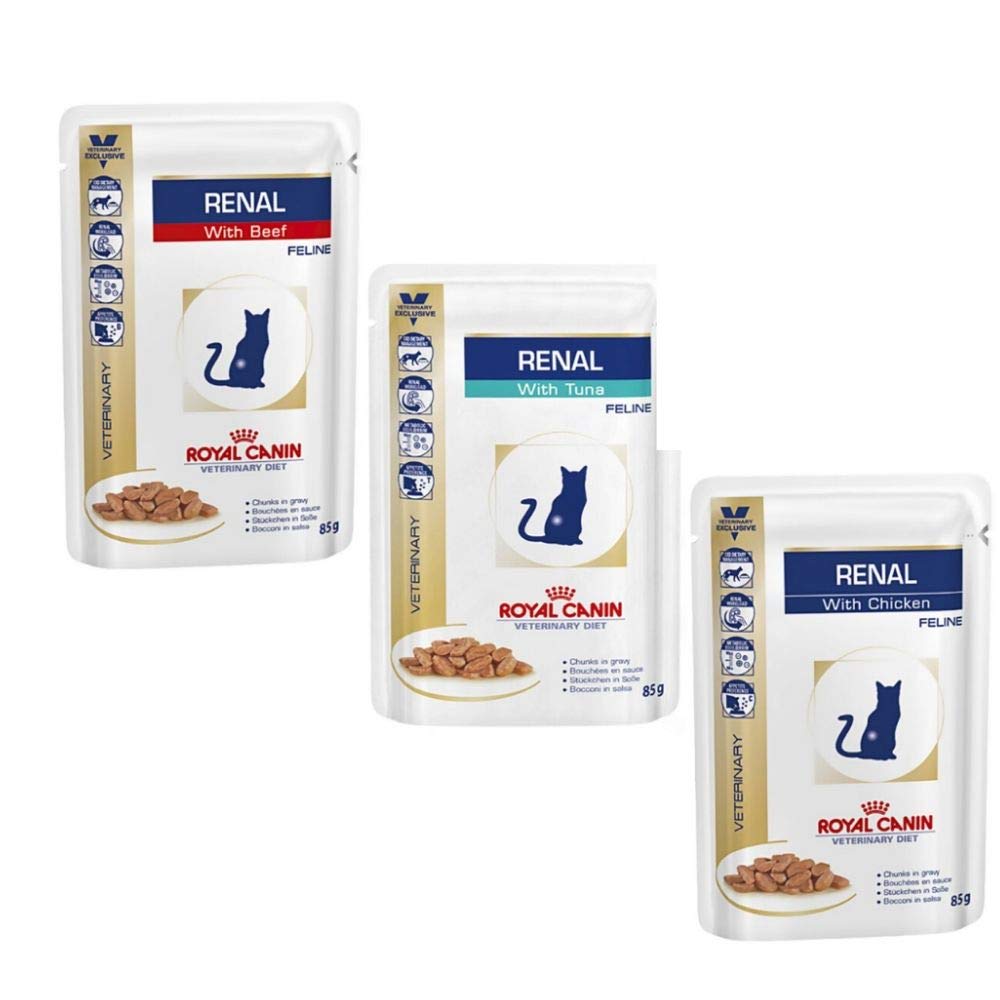 Royal canin outlet renal with beef