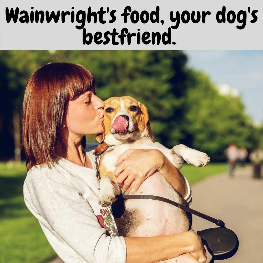 Wainwrights Complete And Balanced Adult Dry Food Pack Salmon 2 kg + 395g Tin of Salmon Wet Food- Nutritious, Delicious, Easily Digested And Hypo-Allergenic Suitable For Dogs From 1-7 Years Old