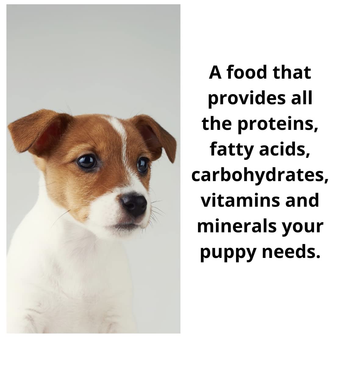 Wainwrights Complete Dry Puppy Food Duck And Brown Rice 2kg For All Breeds - Nutritious, Delicious, Easily Digested And Hypo-Allergenic Puppies 2-18Months