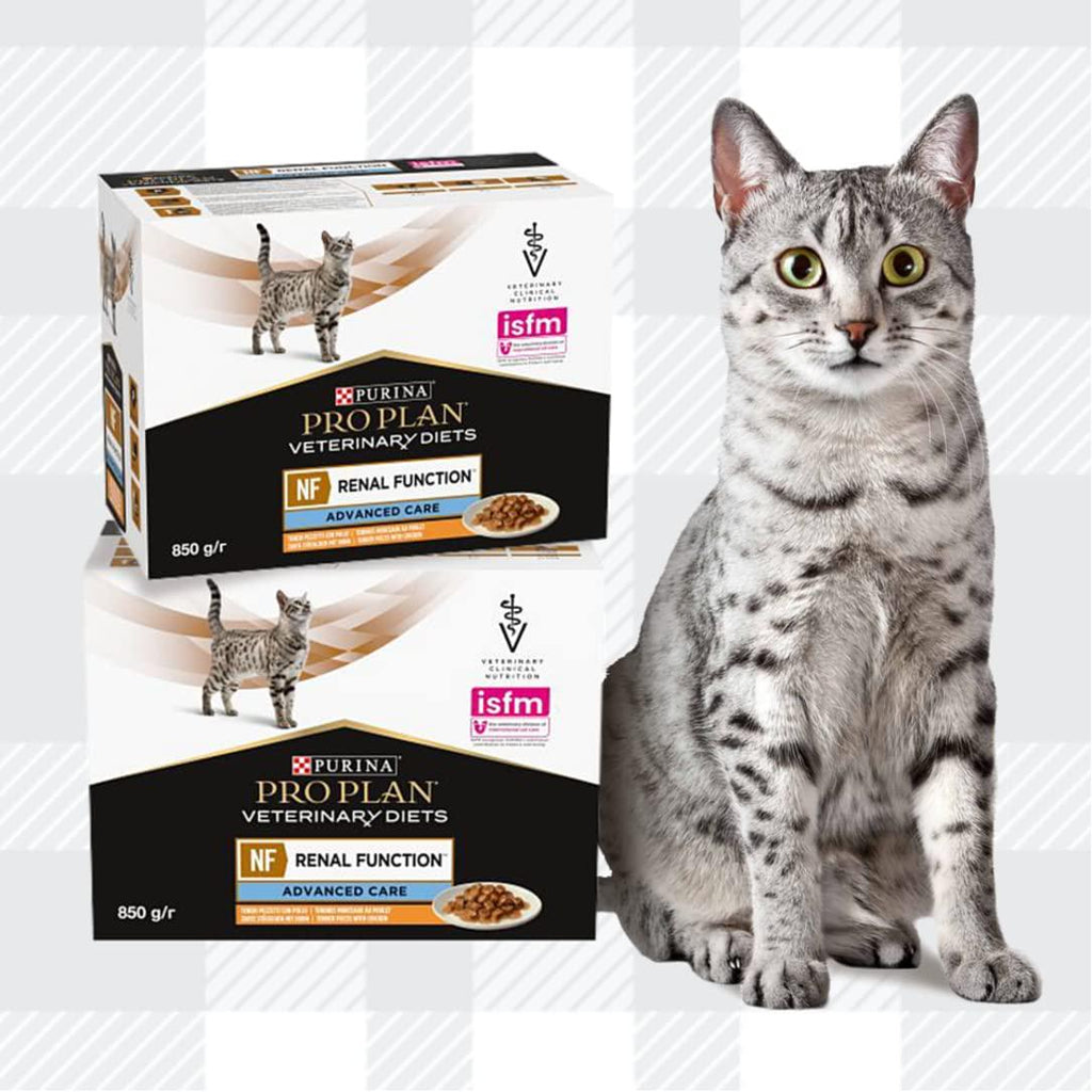 Cat food for older cats with kidney problems sales
