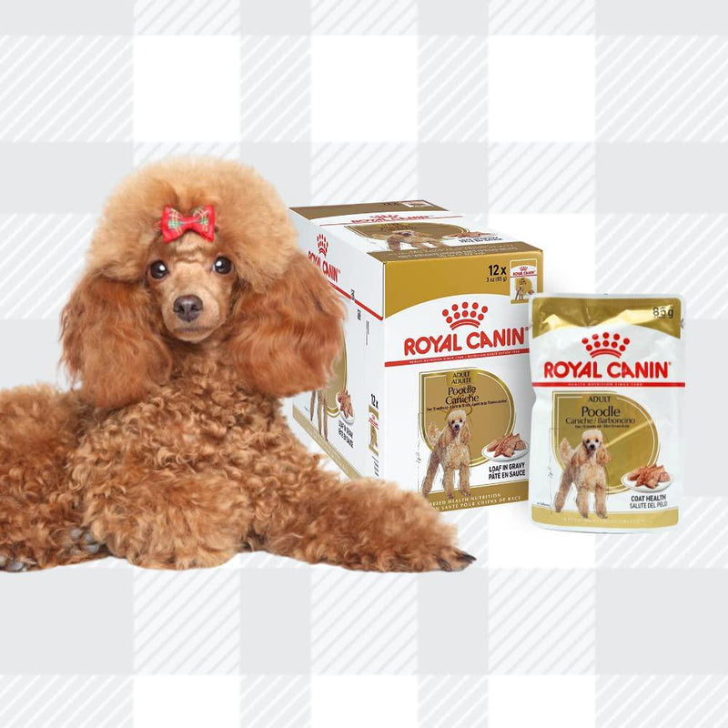 AETN Creations Wet Poodle Dog Food And Jerky Treat Combo Pack - 12 X 85g Pouches +