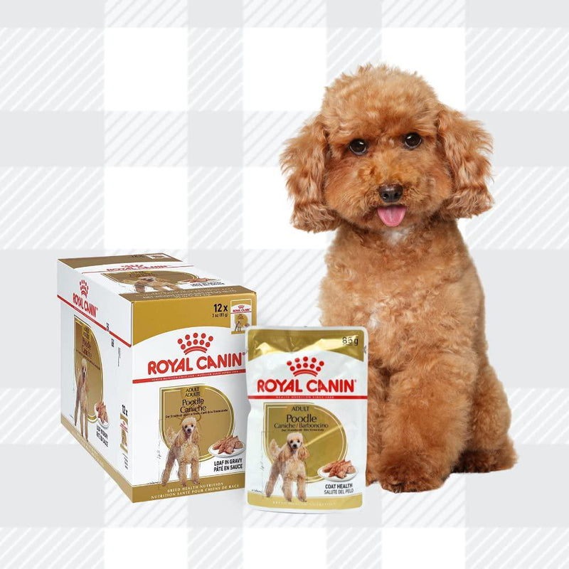 AETN Creations Wet Poodle Dog Food And Jerky Treat Combo Pack - 12 X 85g Pouches +