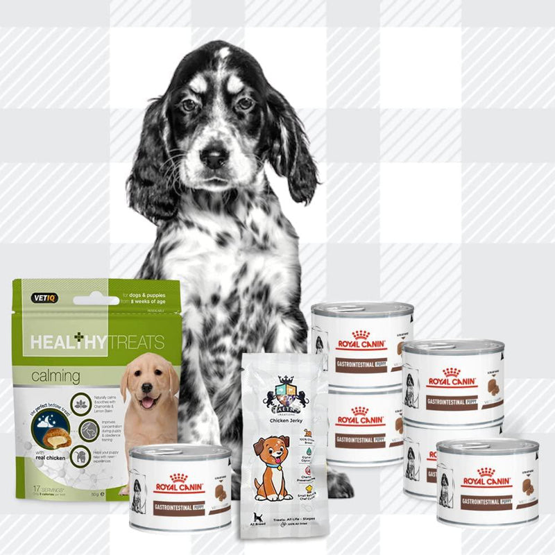 Gastrointestinal treats for outlet dogs