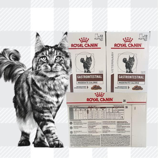 Gastrointestinal Moderate Calorie Wet Cat Food Pack Of 2 12x85g Pouches Plus AETN Creations Chicken Treat, Optimal Digestive Health For Healthy And Happy Cats