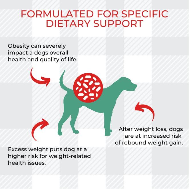 Satiety Weight Management Wet Dog Food 2x410g Convenient And Effective For Your Plus AETN Creations Jerky Treat