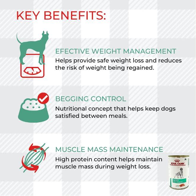 Satiety Weight Management Wet Dog Food 2x410g Convenient And Effective For Your Plus AETN Creations Jerky Treat