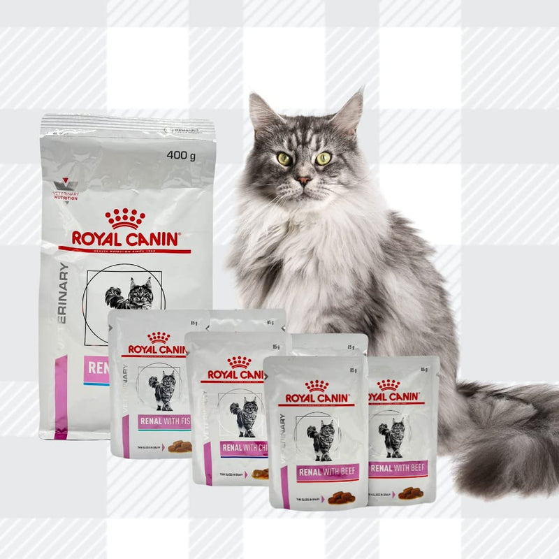 AETN Creations Royal Canin Renal Cat Food Bundle 400g + 6x85g Wet Pouches in Beef, Salmon, Chicken with AETN Cat Treat