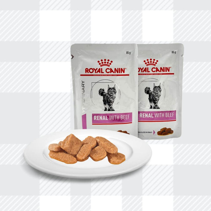 AETN Creations Royal Canin Renal Cat Food Bundle 400g + 6x85g Wet Pouches in Beef, Salmon, Chicken with AETN Cat Treat