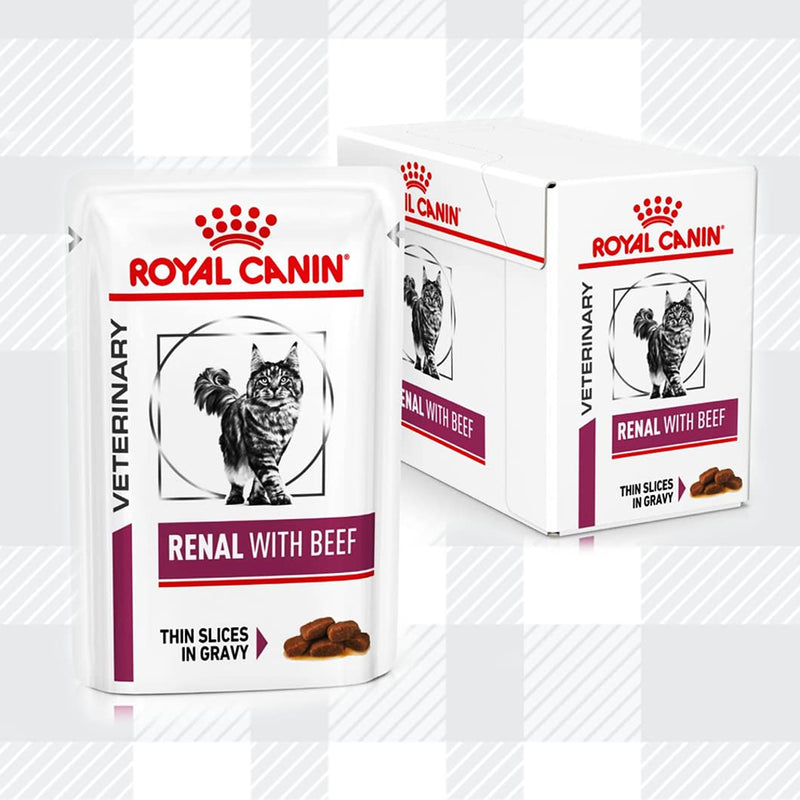 AETN Creations Renal Cat Wet Food Bundle 6x85g Pouches in Beef, Salmon and Chicken Flavour in Gravy and Cat Treat for Felines with Chronic Kidney Disease