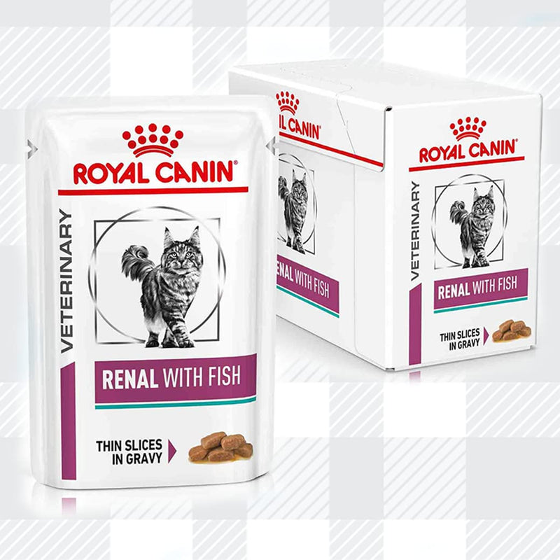 AETN Creations Renal Cat Wet Food Bundle 6x85g Pouches in Beef, Salmon and Chicken Flavour in Gravy and Cat Treat for Felines with Chronic Kidney Disease