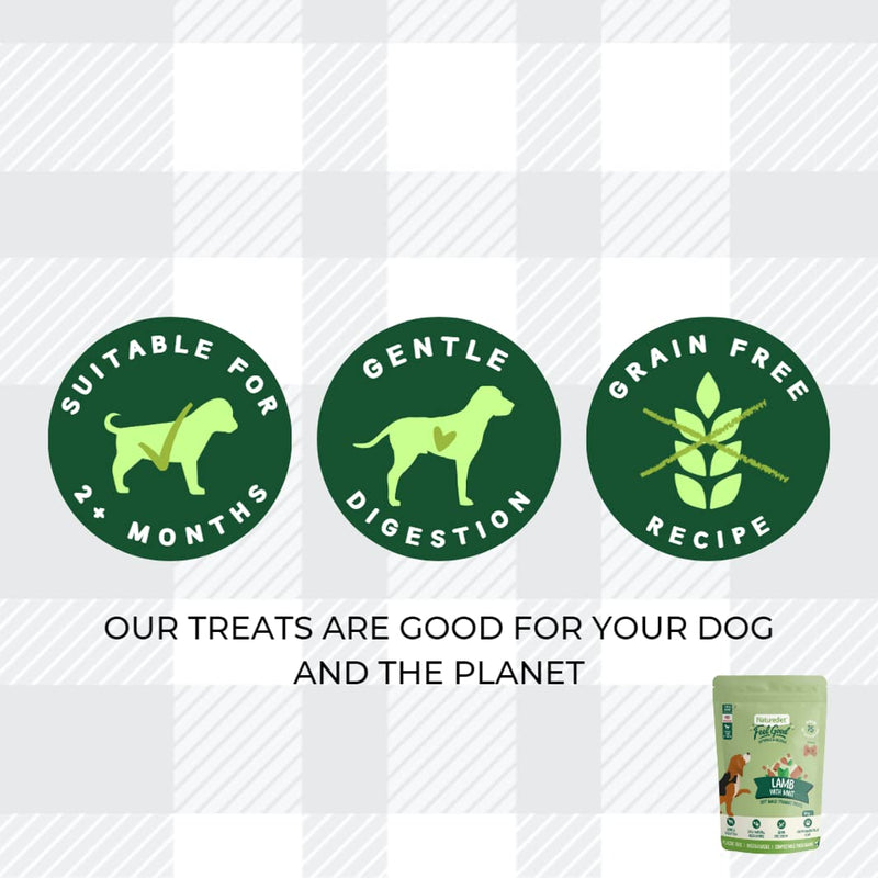 AETN Creations Naturediet Soft Baked Treat Bundle for Dogs 2x100g Feel Good Lamb and Mint plus AETN Jerky Treat, Grain-Free Snacks