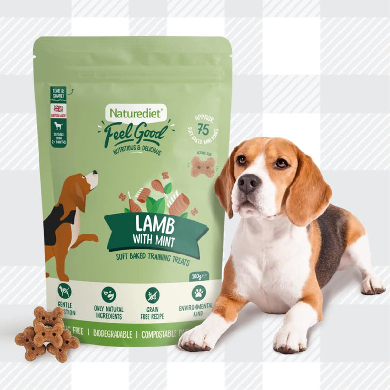 AETN Creations Naturediet Soft Baked Treat Bundle for Dogs 2x100g Feel Good Lamb and Mint plus AETN Jerky Treat, Grain-Free Snacks