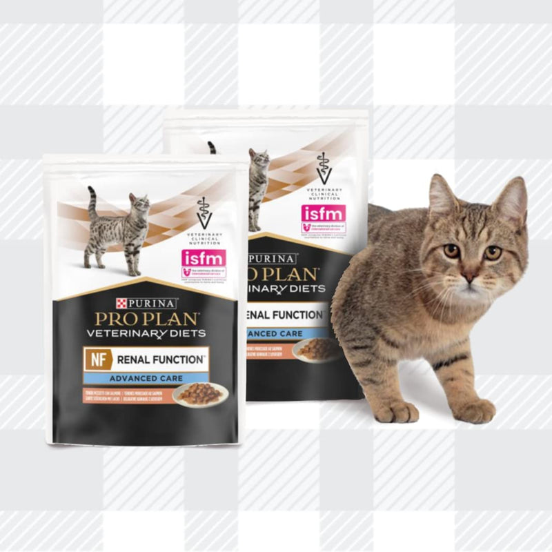 AETN Creations Pro Plan NF Renal Function Bundle 10x85g (5 Chicken 5 Salmon) Wet Cat Food Pouches Mixed Pack with Toy and AETN Treat