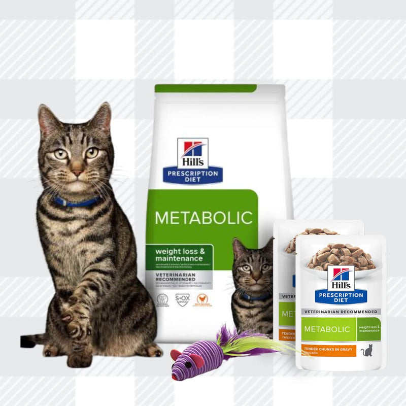 AETN Creations Metabolic Weight Management Bundle for Adults Cat 1.5kg Dry + 2x85g Hill's Wet Pouches Promotes Weight Management with AETN Cat Treat