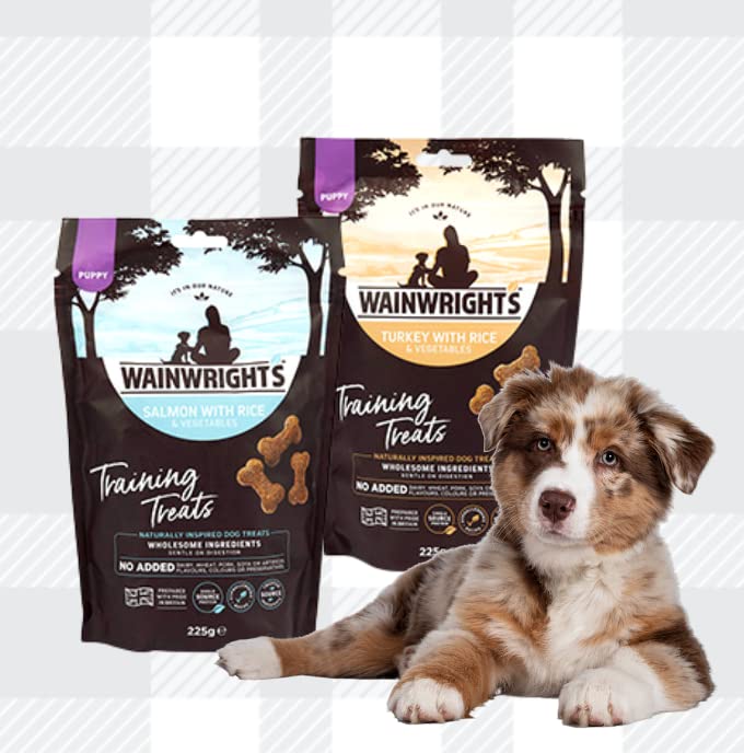 AETN Creations Puppy Training Treat 2x225g Wainright's Turkey and Salmon Hypoallergenic Snack for Puppies with Delicious AETN Jerky Treat