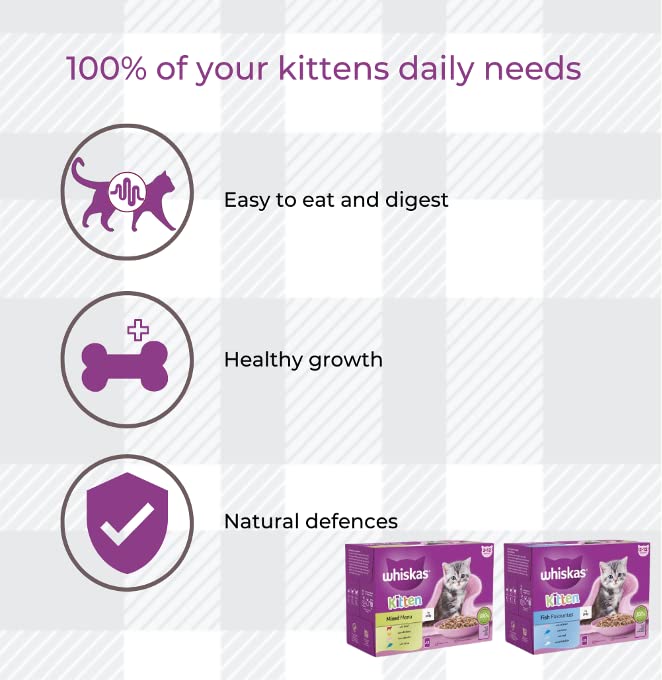 Whiskas Kitten Delightful Mixed Pack 12 Ocean Fish 12 Variety Jelly with AETN Creations Chicken Treat, Milky Bites and Toy Perfect for Growing Kittens