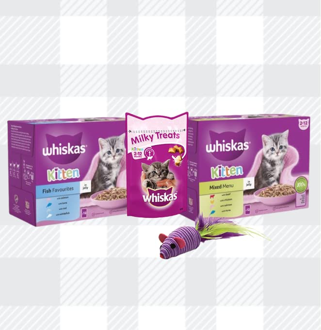 Whiskas Kitten Delightful Mixed Pack 12 Ocean Fish 12 Variety Jelly with AETN Creations Chicken Treat, Milky Bites and Toy Perfect for Growing Kittens