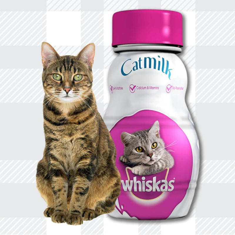 AETN Creations Whiskas Cat Milk Bundle 6x200ml Nutrient-Rich Delight for Optimal Wellbeing and Health Includes Milky Treats, Toy, and AETN Treat, Purrfection!