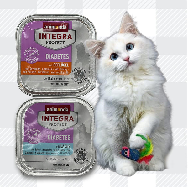 Animonda diabetic cat food hotsell