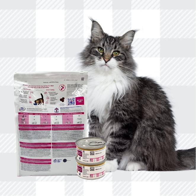 AETN Creations Gastrointestinal Biome Cat Bundle 1.5kg Dry Food + 2x82g Wet Stew Tins with AETN Chicken Treat Supports Digestive Wellness