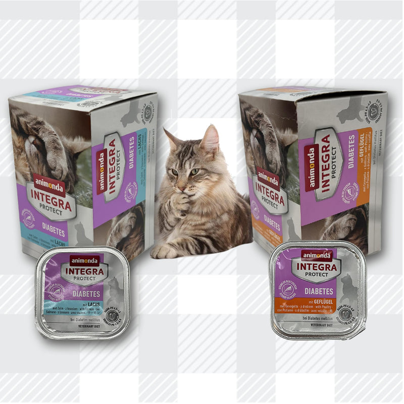 AETN Creations Animonda Integra Protect Diabetes for Cats 2 Pack 2x6x100g Poultry and Salmon plus AETN Cat Treat and Toy Tailored Diabetic Support for Cats