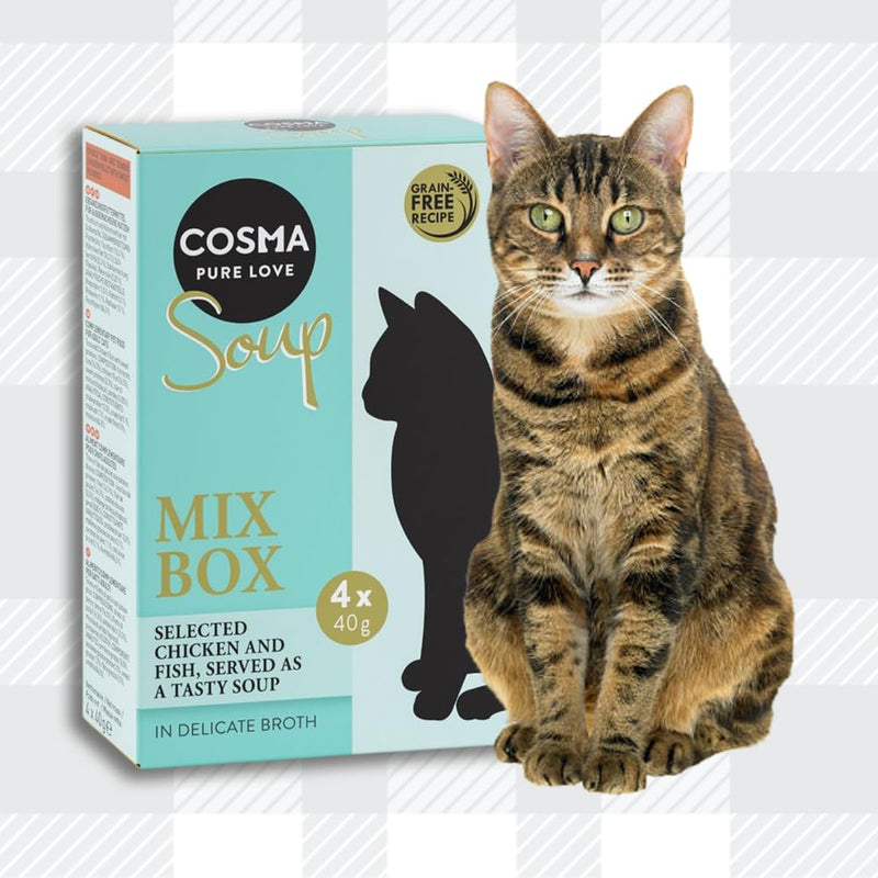 AETN Creations Cosma Soup Mix Box Wet Cat Food in Chicken and Fish Flavour 16x40g - Grain-free, Supplementary Meal for Adult Cats with AETN Cat Treat