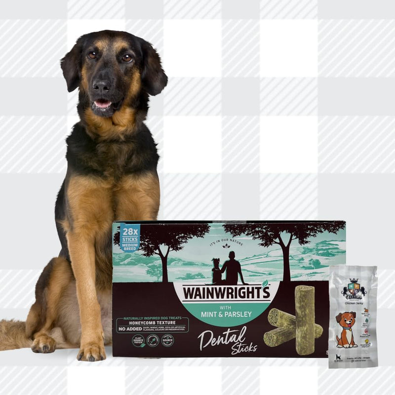 AETN Creations Wainwright's Medium Breed Dog Dental Sticks - 28 Pack of Mint and Parsley and AETN Creations Jerky Treat, Boost and Nourish Dental Health