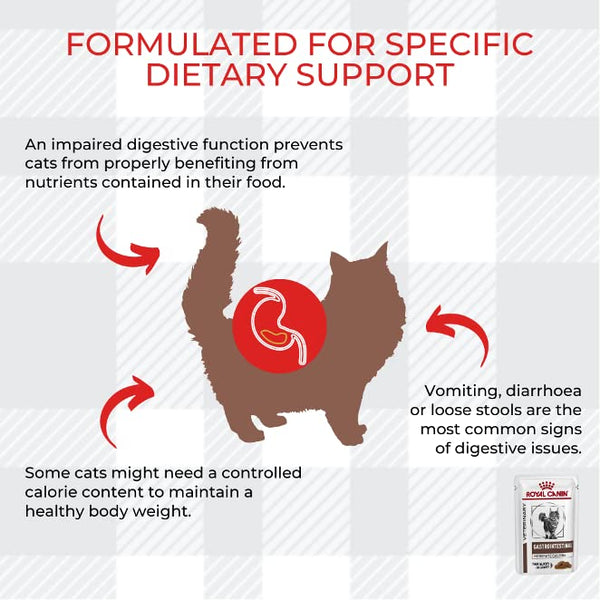 AETN Creations Gastrointestinal Moderate Calorie Wet Cat Food 24x85g plus AETN Chicken Treat