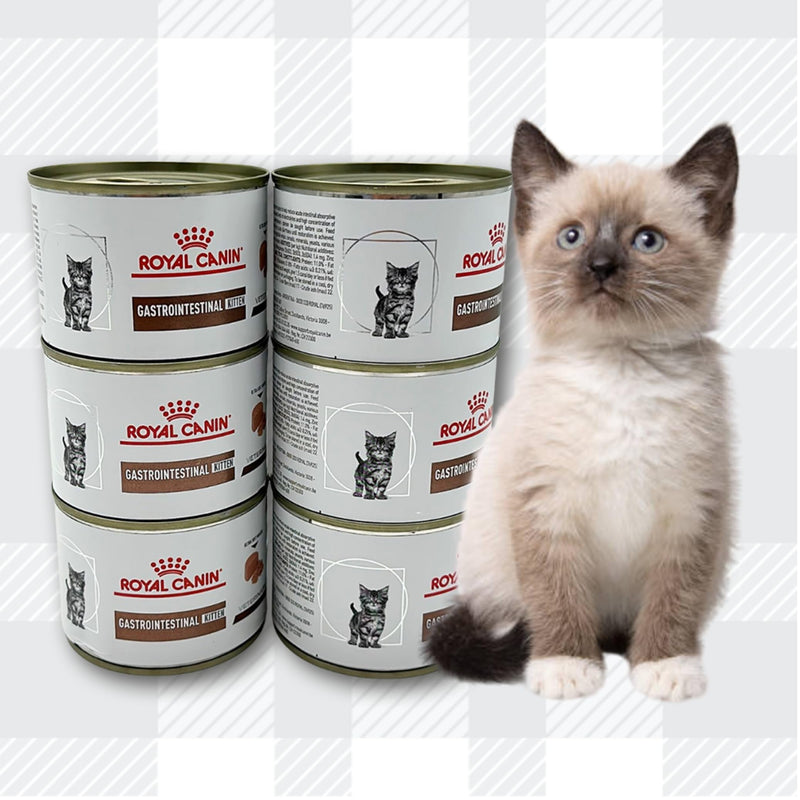 AETN Creations Gastrointestinal Kitten Ultra Soft Mousse 6x195g plus AETN Cat Treat and Toy, Specially Formulated to Provide Premium Digestive Care