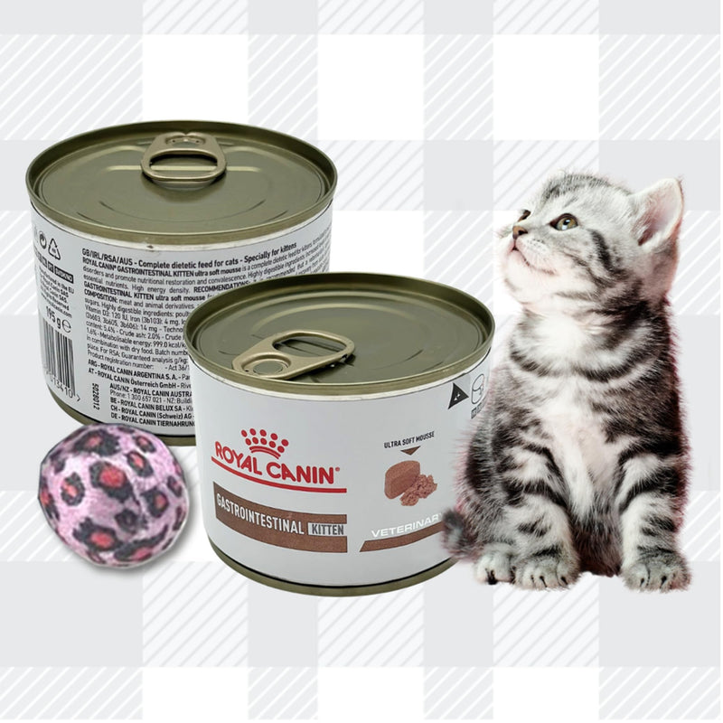 AETN Creations Gastrointestinal Kitten Ultra Soft Mousse 6x195g plus AETN Cat Treat and Toy, Specially Formulated to Provide Premium Digestive Care