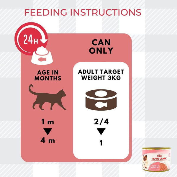 AETN Creations Starter Mother and Babycat Wet Pack 6x195g Mousse Tins with AETN Chicken Cat Treat Complete Nutrition for Kittens