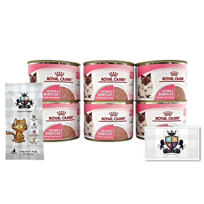 AETN Creations Starter Mother and Babycat Wet Pack 6x195g Mousse Tins with AETN Chicken Cat Treat Complete Nutrition for Kittens