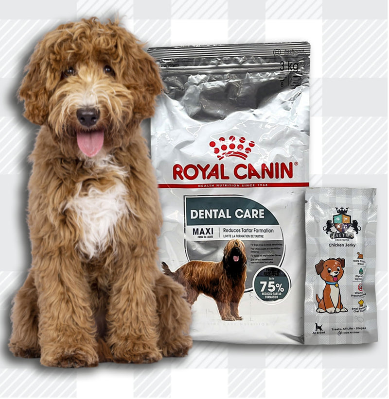 AETN Creations Royal Canin Maxi Dental Care Dog Bundle 3kg Dry Dog Food and AETN Chicken Jerky Treat Helps Maintain Dental Health