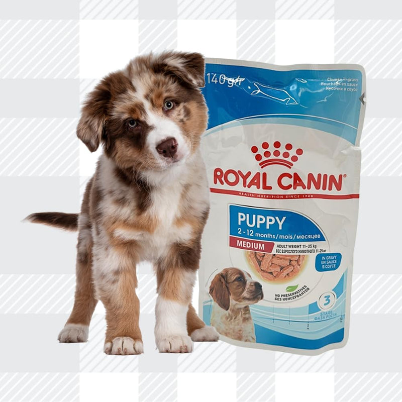 AETN Creations Royal Canin Medium Puppy Dog Food Bundle 10x140g Wet Pouches plus AETN Jerky Treat, and Push Doughnut Toy