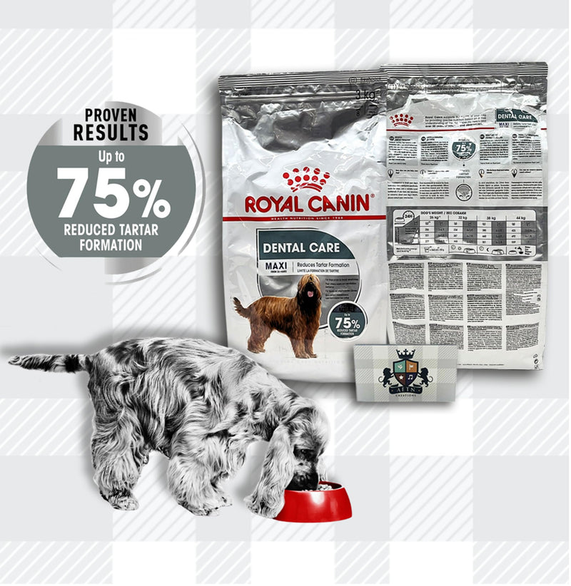 AETN Creations Royal Canin Maxi Dental Care Dog Bundle 3kg Dry Dog Food and AETN Chicken Jerky Treat Helps Maintain Dental Health