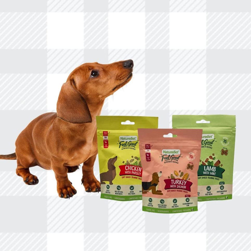 AETN Creations Naturediet Soft Baked Training Treats Mixed Variety Pack 3x100g Chicken, Salmon and Lamb plus AETN Jerky Treat, Train and Reward Your Pup