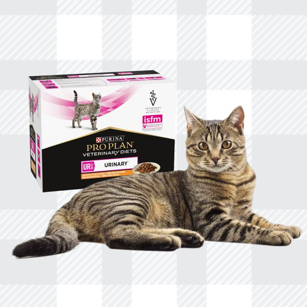 AETN Creations Pro Plan Urinary Wet Cat Food Mixed Pack Chicken/Salmon 2x10x85g with AETN Chicken Breast Cat Treat for Cats that Suffer from Urinary Tract Disease