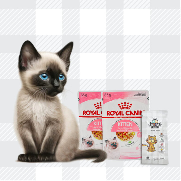 AETN Creations Royal Canin Kitten Wet + Dry Bundle for Happy, Healthy Kittens 1x400g, 2x85g Jelly, 2x85g Gravy, 2x85g Loaf with Delicious AETN Chicken Cat Treat