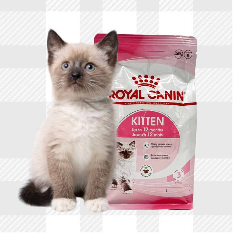 AETN Creations Royal Canin Kitten Wet + Dry Bundle for Happy, Healthy Kittens 1x400g, 2x85g Jelly, 2x85g Gravy, 2x85g Loaf with Delicious AETN Chicken Cat Treat