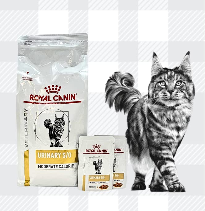 AETN Creations Urinary S/O Moderate Calorie Royal Canin 1.5kg + 2x85g Wet Pouches with AETN Cat Treat Supports Urinary Health