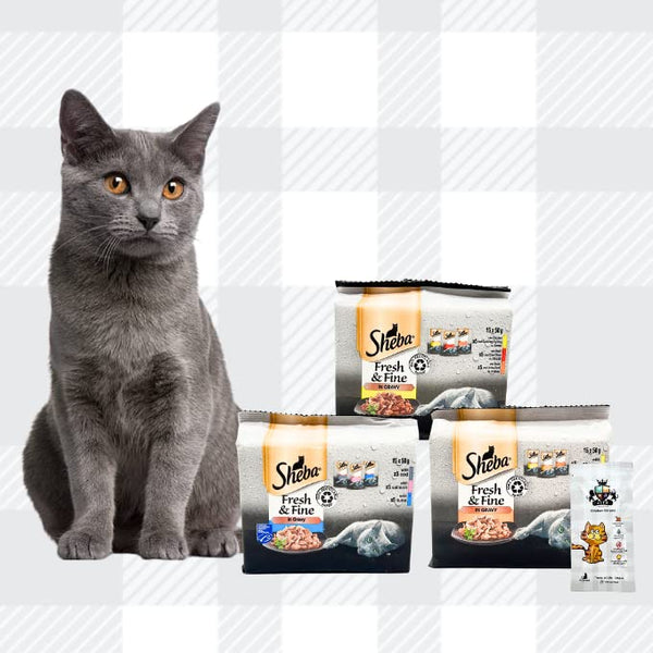 AETN Creations Sheba Fresh and Fine Multi Pack 45x50g Wet Pouches in Poultry, Fish and Meat in Gravy plus AETN Chicken Cat Treat Variety Meal Pack for Adult Cats