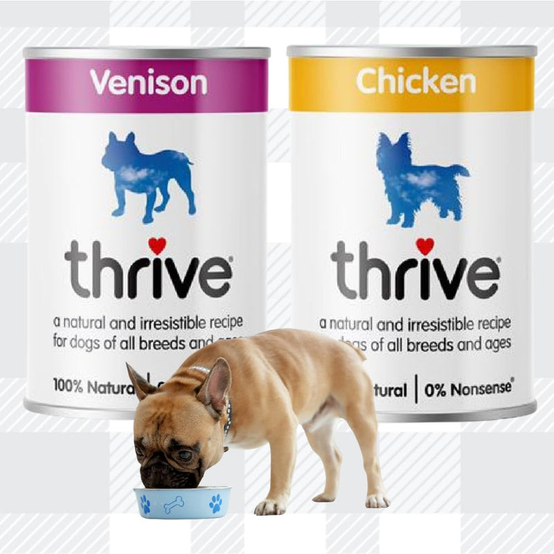 AETN Creations Thrive Wet Adult Dog Food - 4x400g Premium Nutrition for Health and Vitality - Lamb, Salmon, Venison, Chicken Flavors and AETN Dog Treat