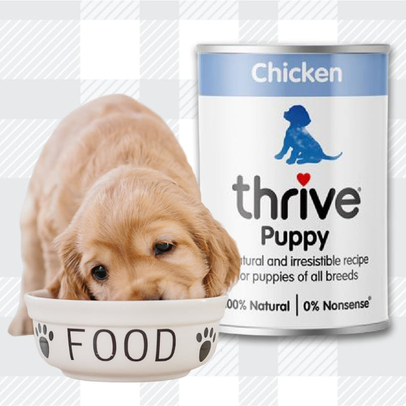 AETN Creations Thrive Puppy Wet Food Chicken 2x400g Premium, Nutrient-Rich, Delicious Food for Healthy Growth with AETN Dog Treat and Plush Doughnut Toy