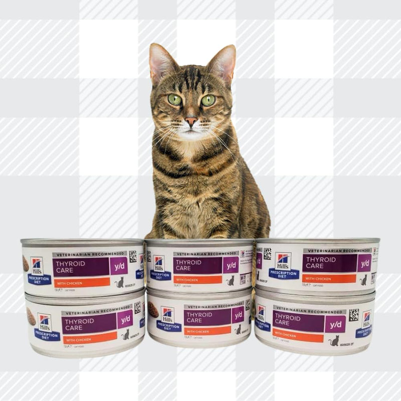 AETN Creations Y D Thyroid Care Wet Cat Food 6x156g Bundle plus AETN Creations Chicken Cat Treat Dietetic Dry Food for Cats with Thyroid Problems