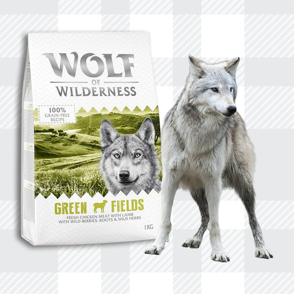 AETN Creations Wolf of Wilderness Adult Green Fields 1kg - Chicken and Lamb Flavour Grain-Free, Protein Dry Dog Food with AETN Jerky Treat