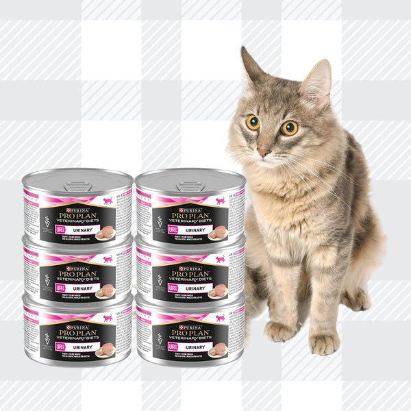 AETN Creations Pro Plan Urinary Combo Pack 6x156g Cans plus AETN Chicken Cat Treat, Specifically Designed to Support Urinary Tract Health