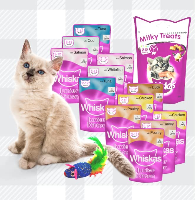 Whiskas Kitten Wet Mixed Pack 6 Fish 6 Poultry in Jelly with Milky Treats, Toy and Delicious AETN Creations Cat Treat, Perfect for Happy, Healthy, Growing Kittens