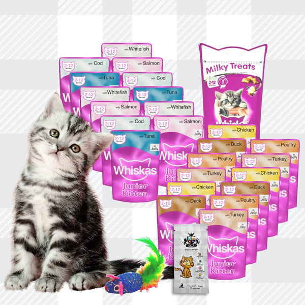 AETN Creations Whiskas Kitten Wet Mixed Pack 12 Ocean Fish and 12 Poultry Feasts in Jelly with Milky Bites, Toy and AETN Cat Treat, Perfect for Growing Kittens