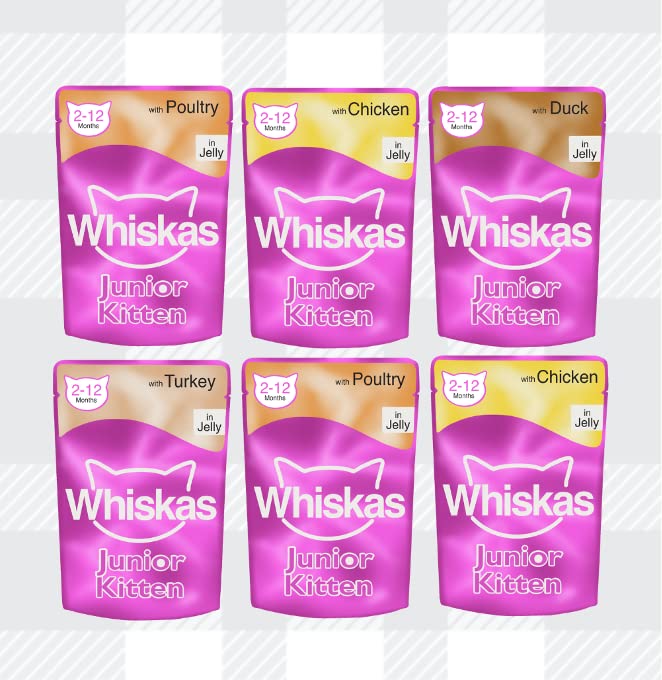 Whiskas Kitten Wet Mixed Pack 6 Fish 6 Poultry in Jelly with Milky Treats, Toy and Delicious AETN Creations Cat Treat, Perfect for Happy, Healthy, Growing Kittens