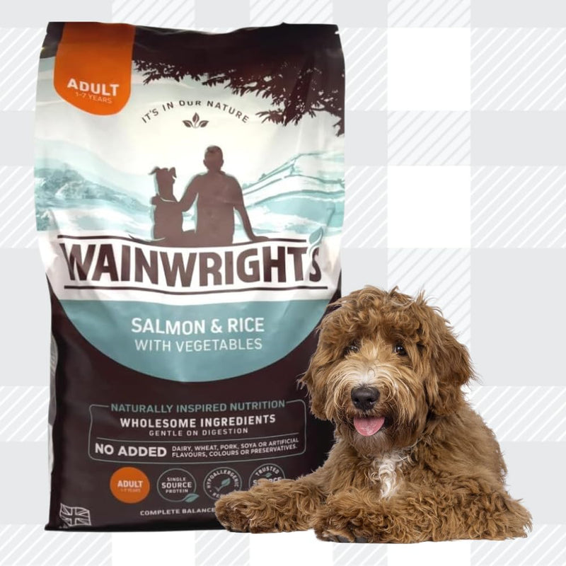 AETN Creations Wainwright's Complete Dry Adult Dog Food Salmon with Rice 2kg Nutrient Packed for Canine Wellness with AETN Chicken Jerky Treat